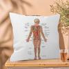 Muscle System Human Anatomy Diagram Medical Cushion Cover x Polyester Sofa Cushions Decorative Throw Pillows