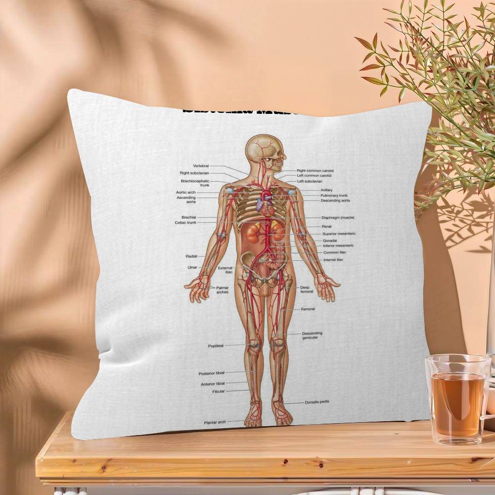 Muscle System Human Anatomy Diagram Medical Cushion Cover x Polyester Sofa Cushions Decorative Throw Pillows