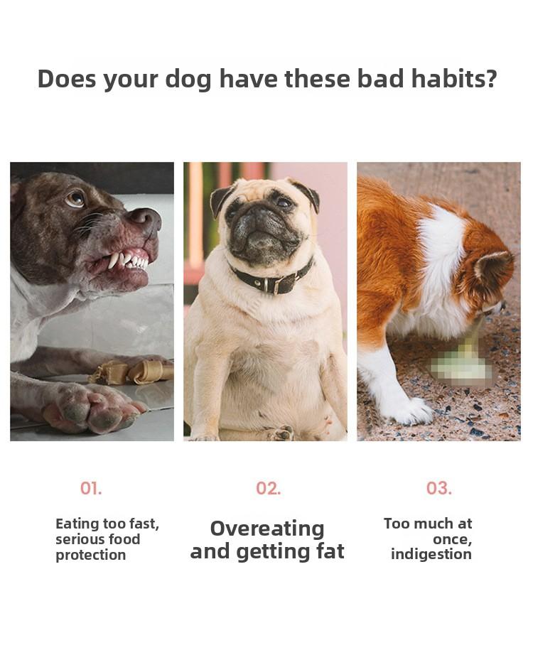 1pcs Silicone Collapsible Pet Bowl Double Layer Non-Slip Dog Cat Food Dish for Travel Hiking Pet Cat Bowl Foldable