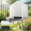Serre de Patio, Serre avec Porte Zippée en Arche Enroulable, Tente d'Hivernage pour Plantes, Serre d'Extérieur