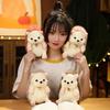 Little Hedgehog Doll Plush Toy Hedgehog Doll Children Soothing Rag Doll Girls Bag Small Pendant Keychain
