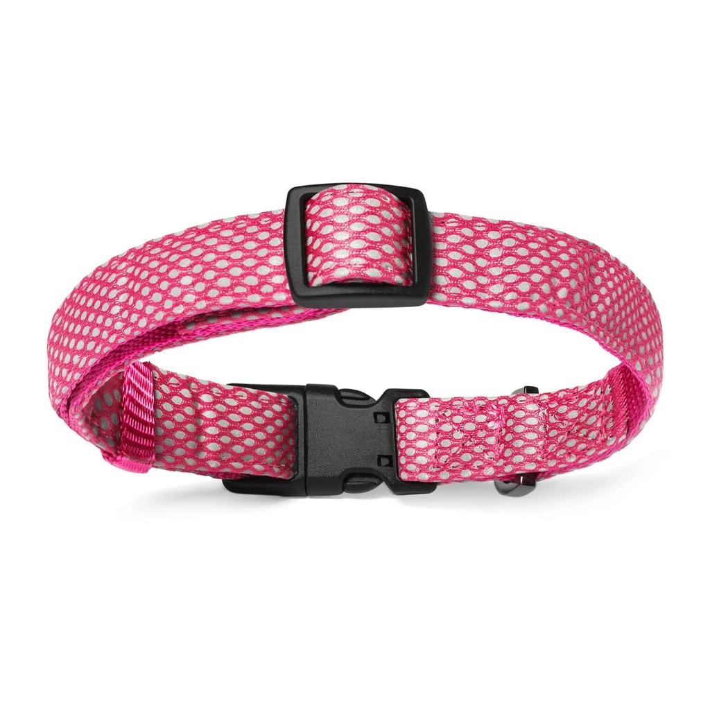 Embark Pets Illuminating Reflective Dog Size Small Collar, Pink,