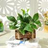 Creative Wooden Basin with Artificial Green Plant Bonsai Ornament for Display and Decoration.