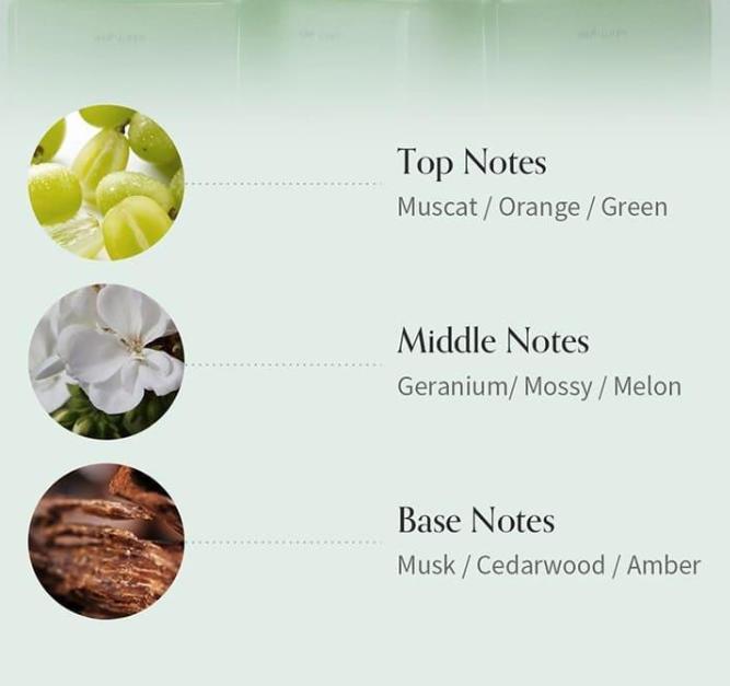 Growus Algae Therapy Mineral Shampoo 500g