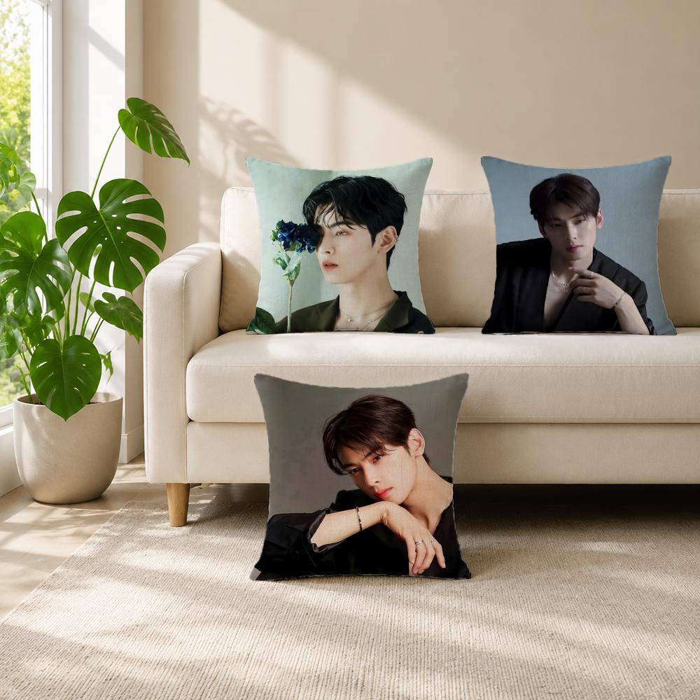 actor Cha Eun Woo Cushion Cover Cushion Cover Set  50x50 45x45 40x40 Pillowcase Decorative Sofa Home Decor