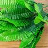 1Pc 7 Branches Home Office Party Decoration False Plant Artificial Fern Leaves