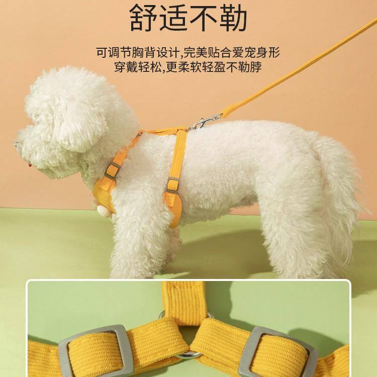 Pet leash with floral pattern and contrasting colors, vest-style harness for small dogs like Bichon and Teddy, puppy walking leash
