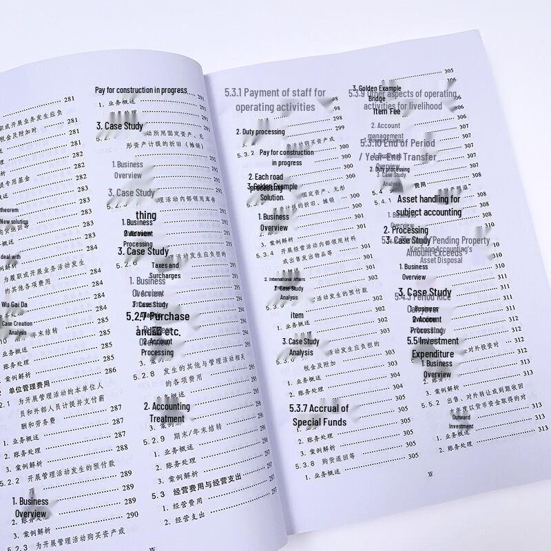 Government Accounting System Practical Guide