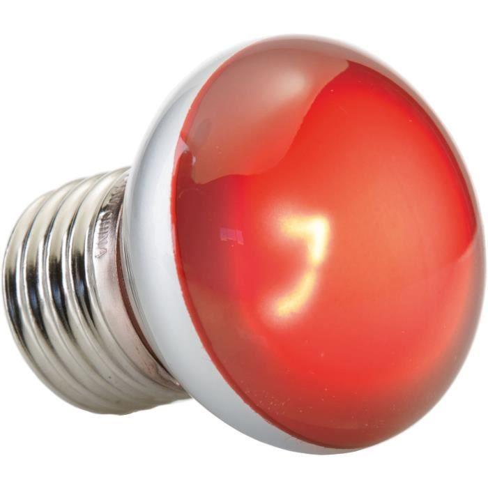 Lampe pour terrarium - Exo Terra - Basking Spot Nano 25W - Blanc - Eclairage - Reptile