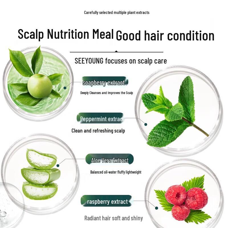 Seeyoung Soapberry Oil Control Shampoo & Conditioner Set
