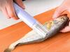 Fish Scaler (120)