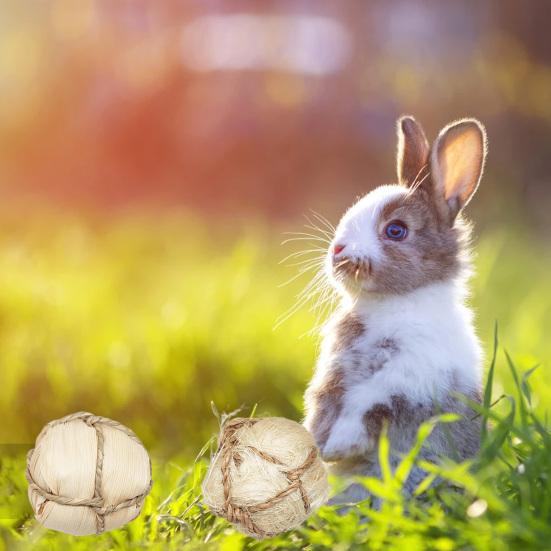 Molar Toy Natural Smell Relieve Anxiety Healthy Hamster Parrot Molar Ball Toy for Small Animals