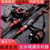 Carbon Fiber Spinning Casting Rod Combo Set Sea Shore Fishing - 2-Piece Telescopic Lure With Reel