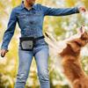 Köpek – Eğitim ve Öğretim Araçları