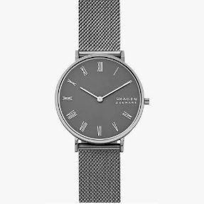SKAGEN Hald Quartz Women Watch Women's Quartz Watch Stainless Steel Mineral 30m 34.00mm Stainless Steel Clasp SKW2814