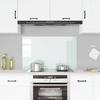 Kitchen Backsplash 100x60 Cm Tempered Glass