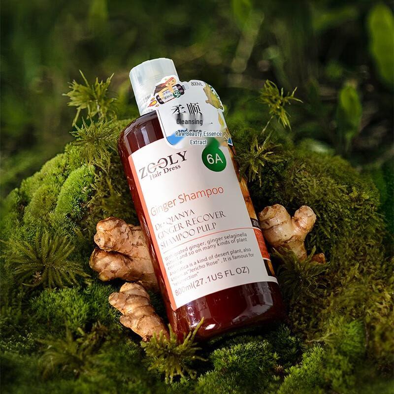 

Zhuo Lanya Ginger & Resurrection Grass 2-in-1 Shampoo