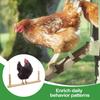 Wooden Chicken Swing Toy Parrots Perch Stand Hanging Bird Cage Accessories for Macaw Cockatiels Conures Finches Chicken Toys