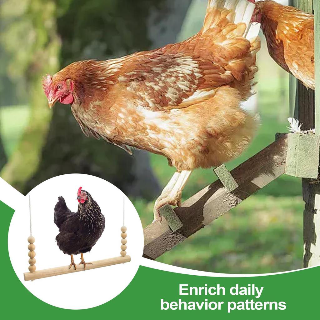Wooden Chicken Swing Toy Parrots Perch Stand Hanging Bird Cage Accessories for Macaw Cockatiels Conures Finches Chicken Toys