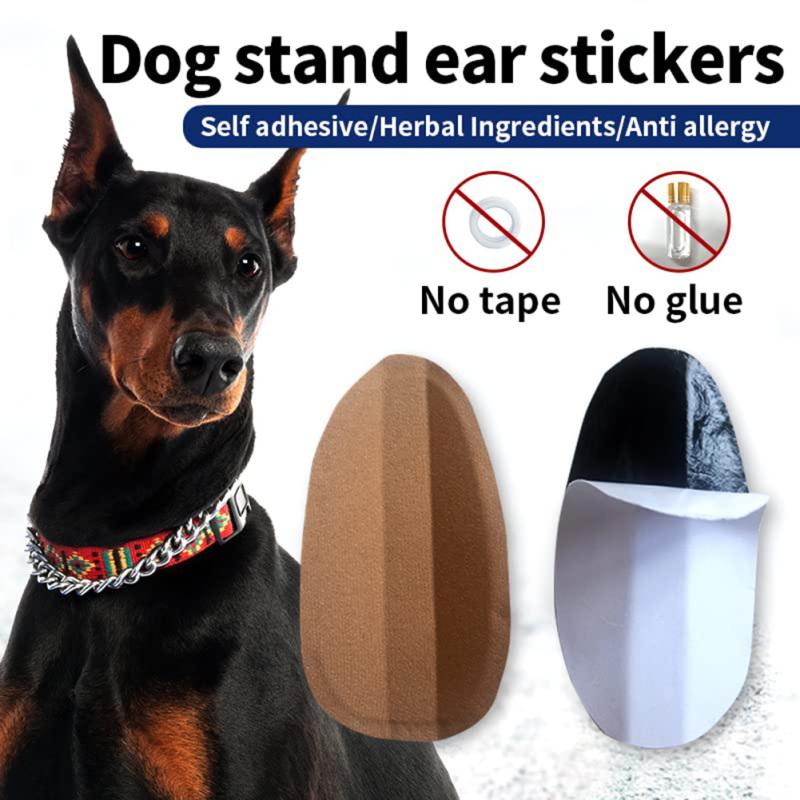 Suport de corecție fix pentru câini Autocolante pentru plasture pentru urechi Instrument de sprijin pentru picioare pentru Doberman Pinscher Corgi
