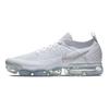 Air VaporMax Flyknit 2 Білий Сірий 942842-105