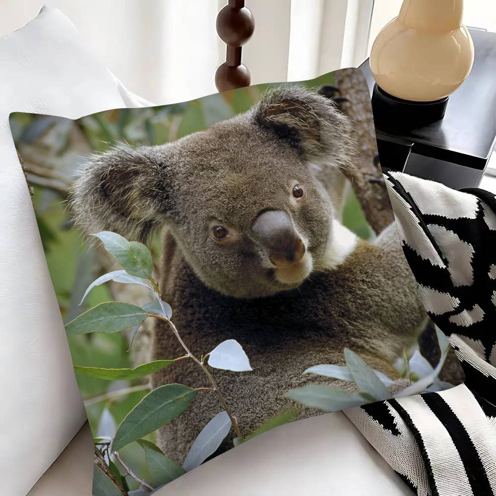 Süßer Koala Kissenbezug Modischer Quadratischer Kissenbezug Schlafzimmer Sofa Raum Ins Dekoration Freizeit