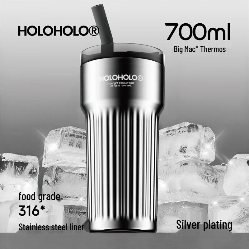 HOLOHOLO 316 Stainless Steel Insulated Straw Tumbler