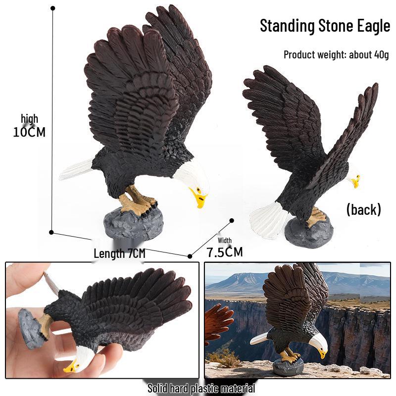 Kids' Bird Model Set: Toucan, Parrot, Ostrich, Peacock, Eagle, Pigeon, Owl.