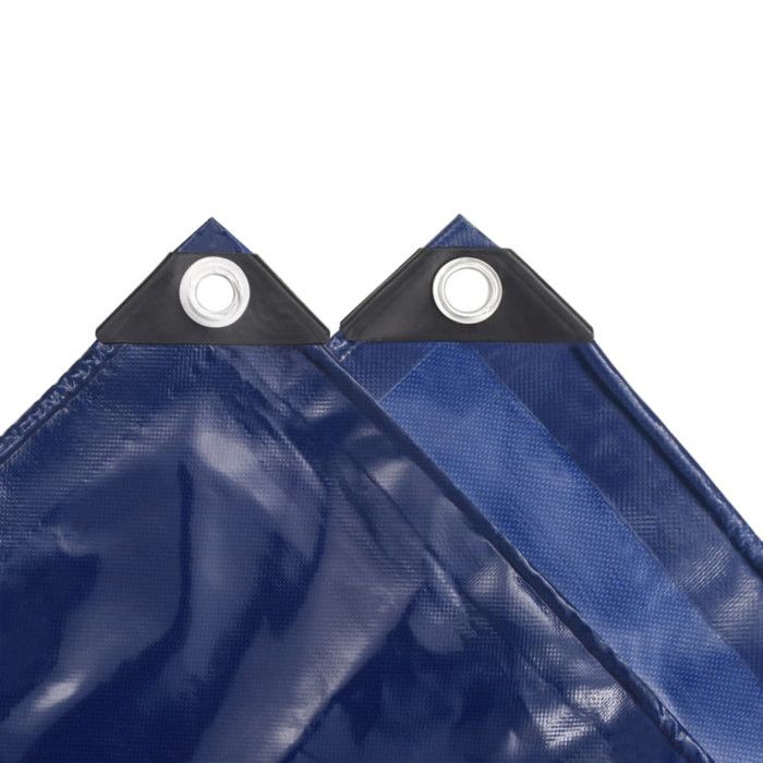 VidaXL Bâche 650 g / m² 2 x 3 m Bleu