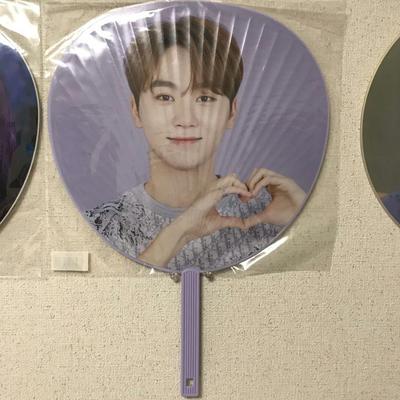 [USED] Seungkwan Fan Dometour Seventeen