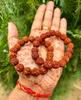 2 Pc Original Natural 9-10 MM Round Rudraksha Mala Bracelet, 5 Mukhi 5 Faces Lord Shivas Rosary, Pocket Mala Stretchable, Elastic Unisex