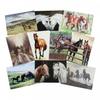 Caroline Cook The End Of The Day Greetings Card (Pack of 10)
