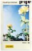 FUJIFILM Instant Camera Instax Film 10 Pieces Pattern INSTAX MINI WW 1 (Photo Slide) P-SLIDE