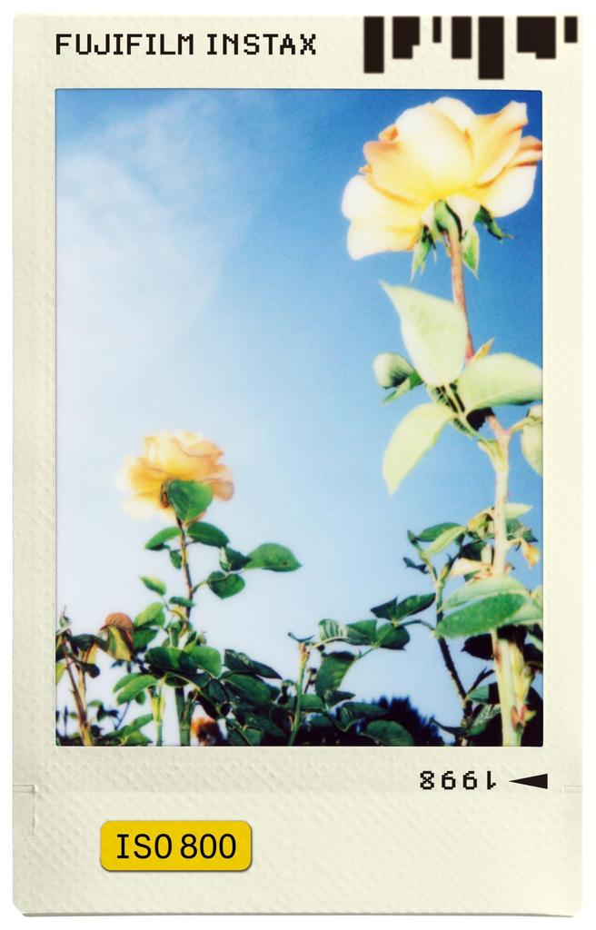 FUJIFILM Instant Camera Instax Film 10 Pieces Pattern INSTAX MINI WW 1 (Photo Slide) P-SLIDE