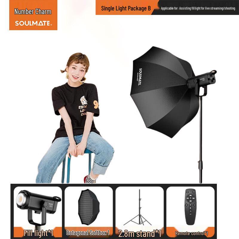 SOULMATE E300Bi Max 300W Bi-Color COB LED Video Light