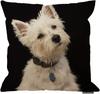 Cute West Highland White Terrier Pillowcase, Funny Dog Face Cushion Cover, Pet Lover Home Decor, Black Background Animal Gift