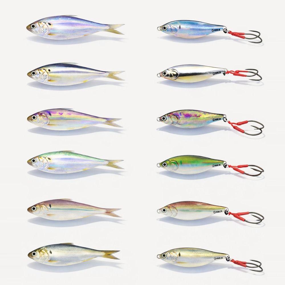 10g 20g Slow Falling Jig Realistic Action Jigging Bait Lure 3D Konosirus Metal Jig  Saltwater