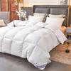 Luxurious Five-Star Hotel Quality Quilt – Winter Thick, Feather Silk Core, Summer Cool, Single/Double Sizes Available.
