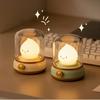 Cute Night Desktop Lamp USB Charged  Rechargeable Portable Table Lamp for Table Coffee Bar Home Hotel Bedroom Night Decor