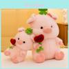 Lucky Four Leaf Clover Pig Plush Toy With Rose Bouquet For Valentines Day Gift For Women
