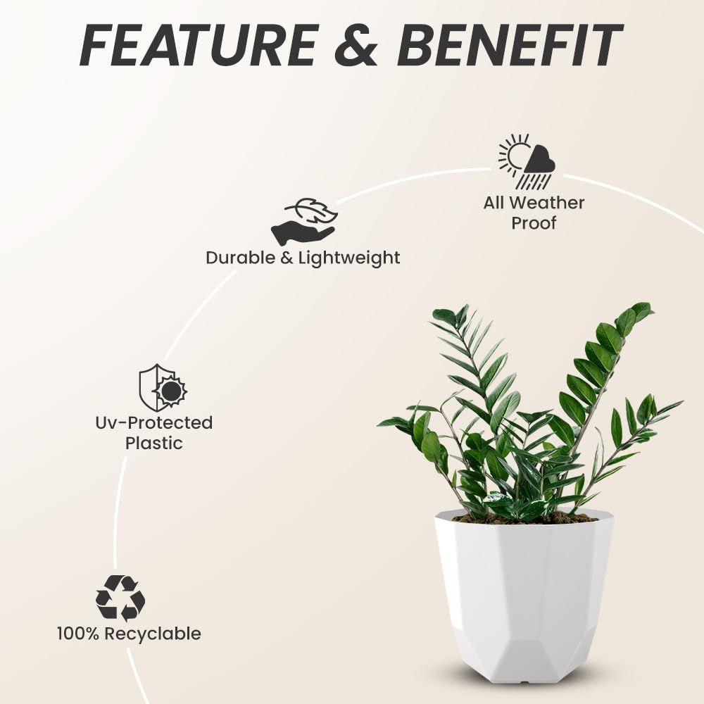 Hexa Plastic Flower Pot with Drainage Holes Round Planter Pot Suitable for Indoor Outdoor Kitchen Garden (White, 10 INCH - 12 Pcs)