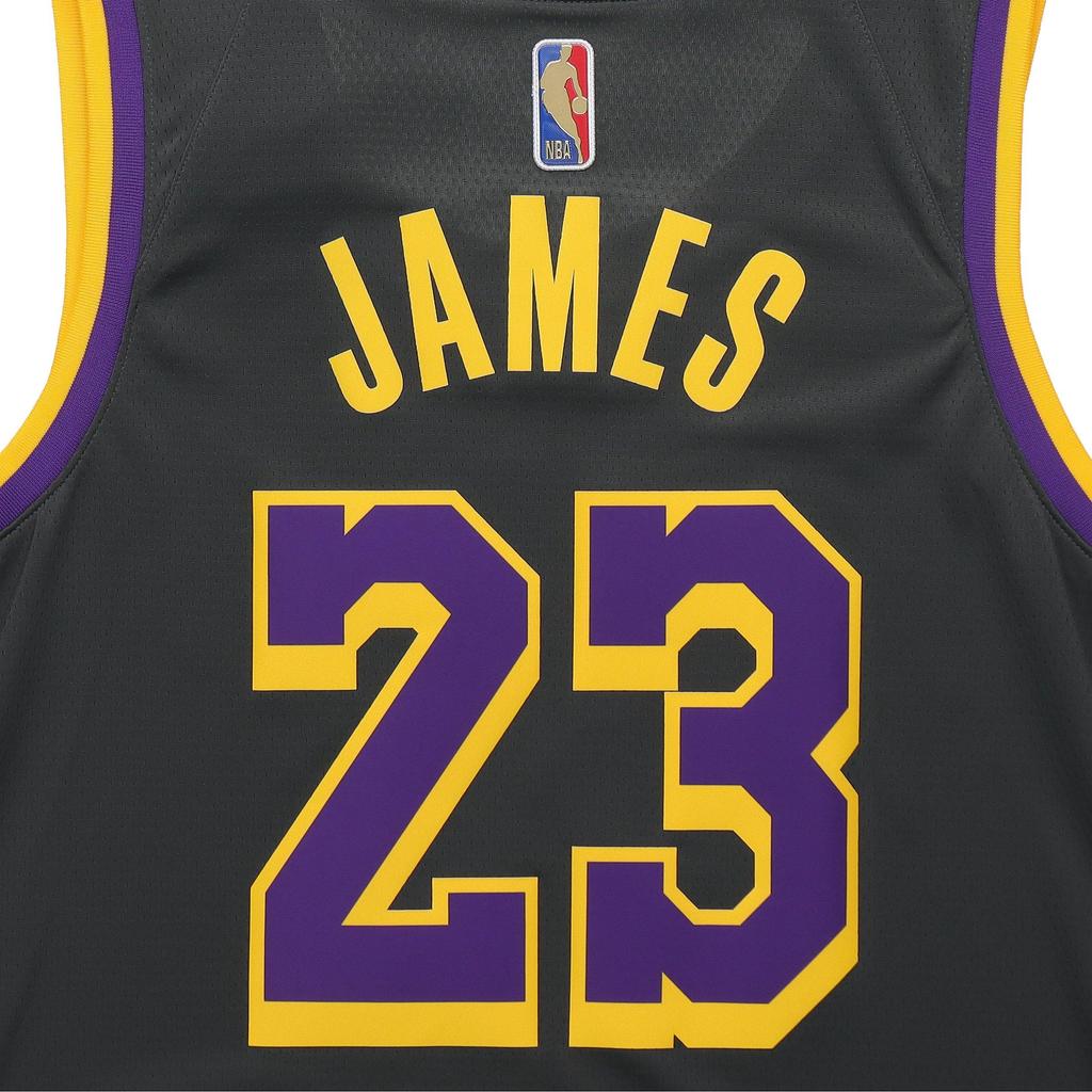 Nike NBA LeBron James Los Angeles Lakers 2020/21 Fan Edition Jersey #23 Men's CN9929-013