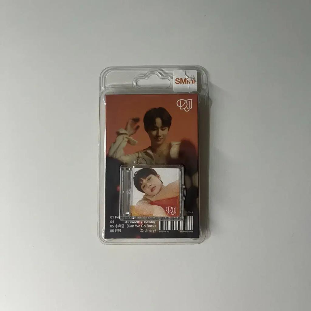 NCT Dojaejeong Smini Jeong-woo Version