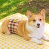 Male Dog Diaper Pants Reusable Sanitary Underwear Neutered Or Intact Dogs Winter All Season Comfort Fit