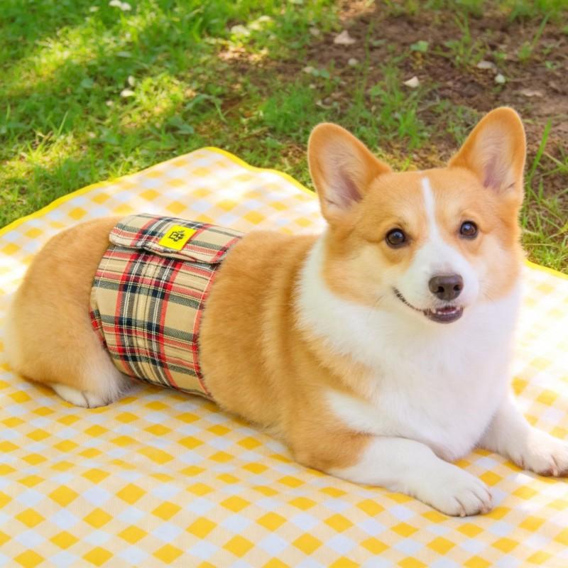 Male Dog Diaper Pants Reusable Sanitary Underwear Neutered Or Intact Dogs Winter All Season Comfort Fit