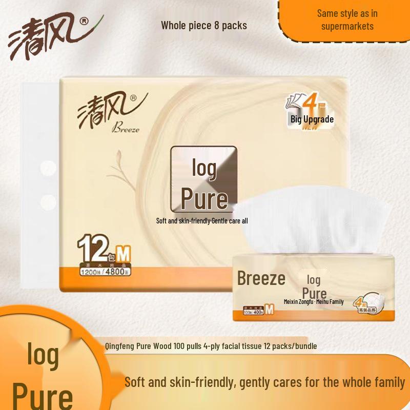 Gentle Breeze 4-Ply Facial Tissues, 100 Sheets/Pack, 12-Pack, M Size