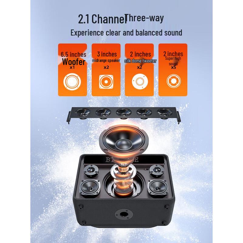 SANSUI G12 High-Power Outdoor Bluetooth Karaoke Speaker