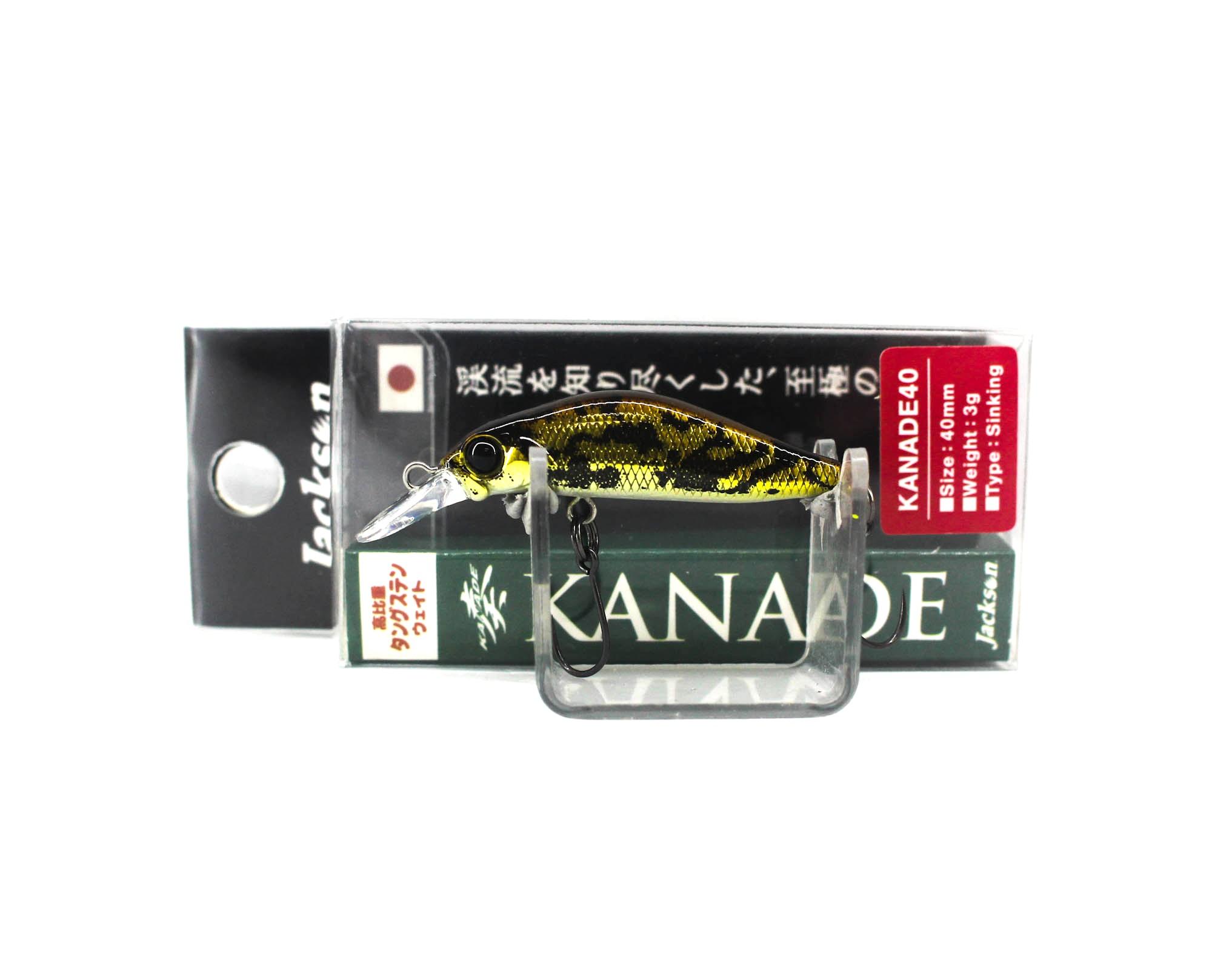 Jackson Kanade 40 mm Trout Single Hook Sinking Lure BKG (4440)
