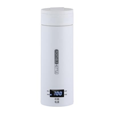 Bouilloires électriques 500ML, tasse thermique en acier inoxydable 304, pour faire bouillir de l'eau chaude en voyage