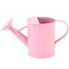 New Metal Plants Sprinkler 600ML Gardening Supplies Plant Watering Pot Watering Equipment Garden Decoration Garden Kettle
